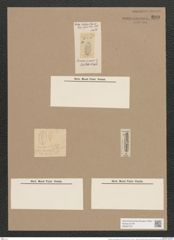Navicula ovalis (elliptica) W.Sm./Ktz. (de-Toni-Nr.: Genus 1, Species 298) Zeichnungen Sammlung Grunow Nr. 699 (NHMW-BOT-W0367076)